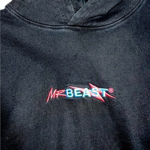 Mr. Beast Hoodie (L)